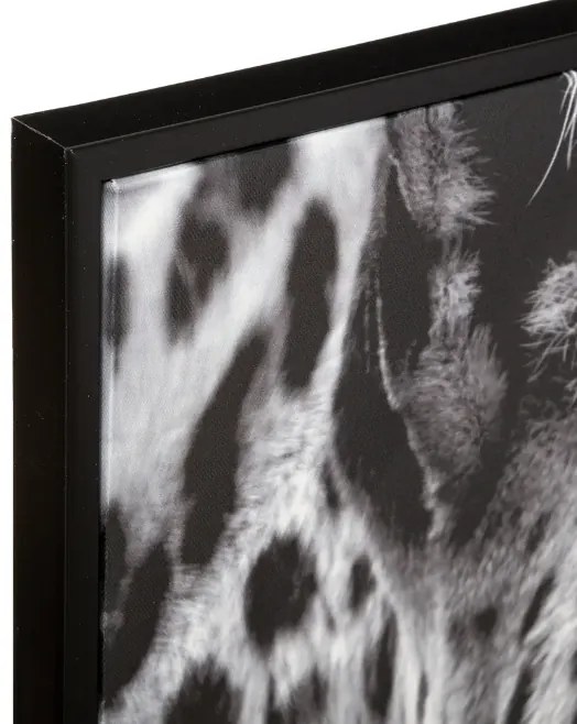 Картина atmosphera Leopard, 58x58 cm