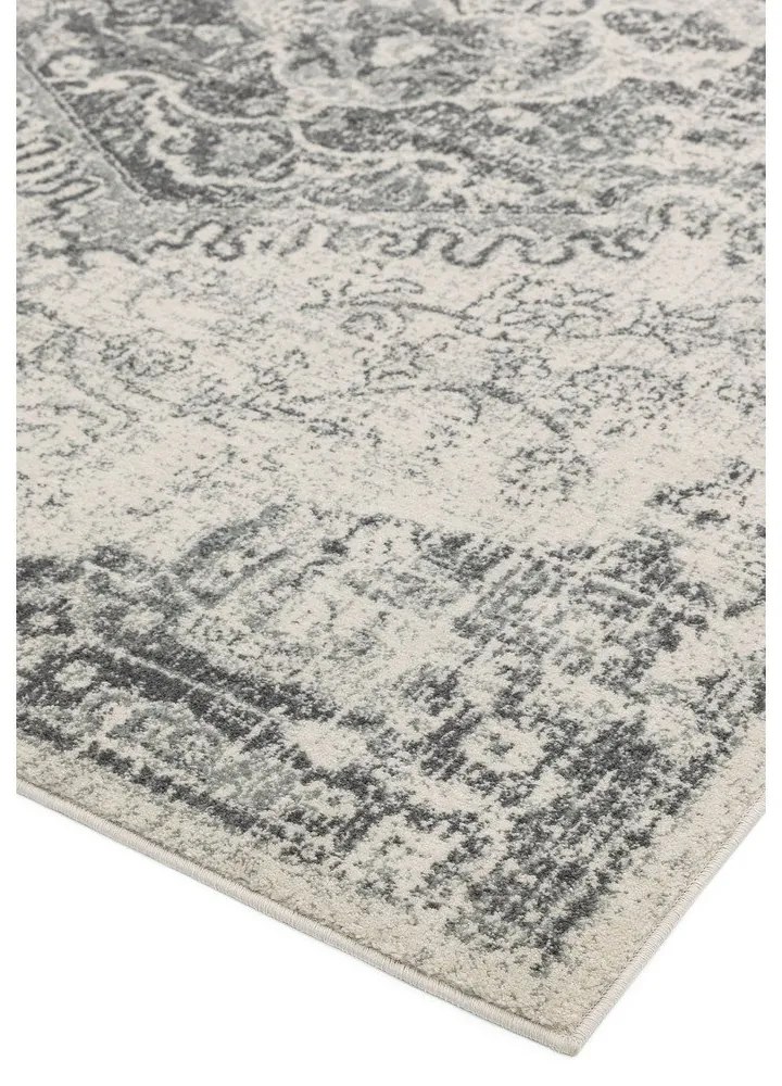 Сиво-кремав килим 120x170 cm Nova – Asiatic Carpets