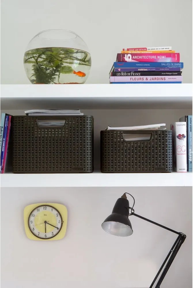 Сива пластмасова кутия за съхранение с капак 20x29x14 cm Style – Curver