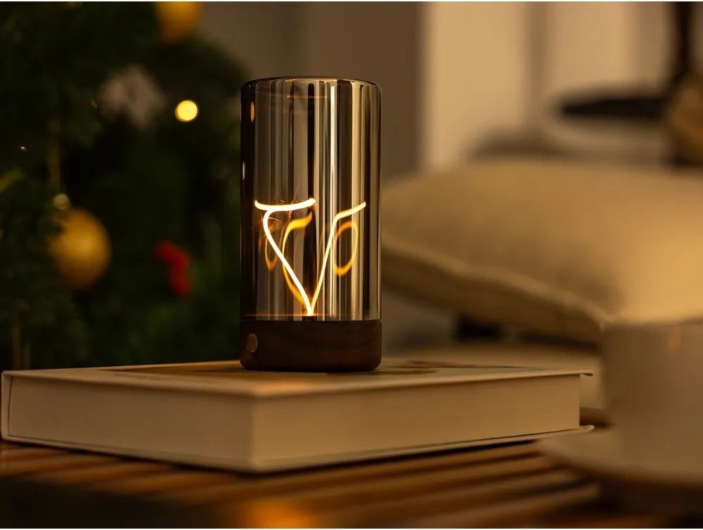 Преносима светлинна декорация с USB ø 7 cm Solis – Gingko