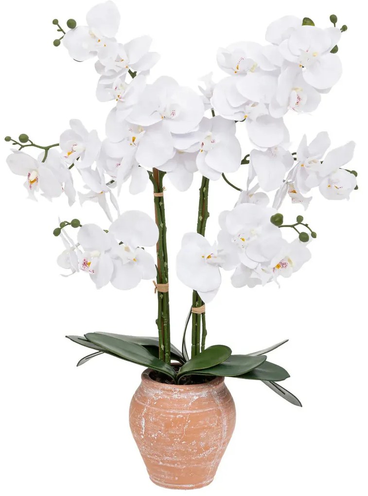 Изкуствено растение atmosphera Dena Orchid, 65 cm