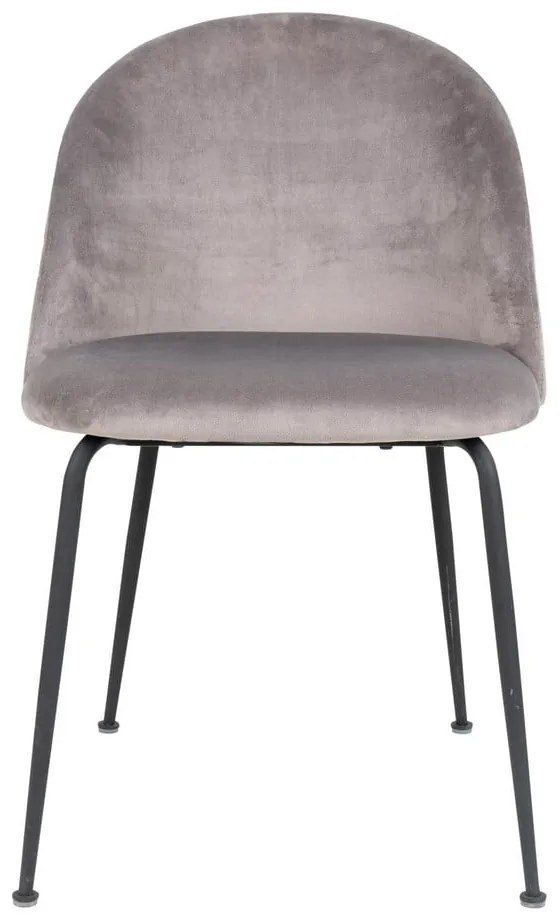 Светлосиви кадифени трапезни столове в комплект от 2 броя Geneve - House Nordic