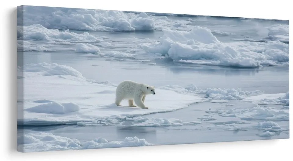 Картина на платно – Полярна мечка на ледена плоча