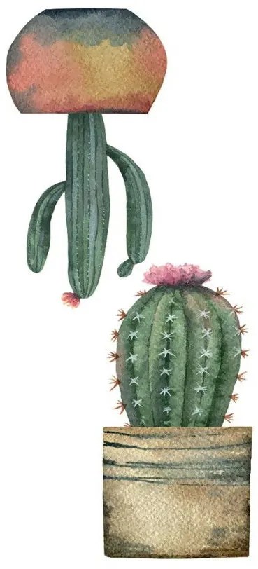 Декоративни стикери за стъкло Cactus S