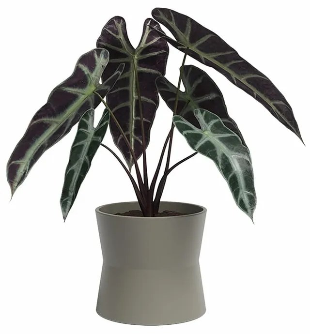 Керамична саксия за цветя ø 20 cm Diana – Artevasi