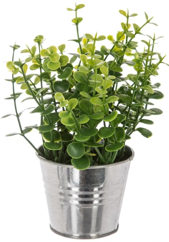 Изкуствено растение atmosphera, 17 cm, Различни видове