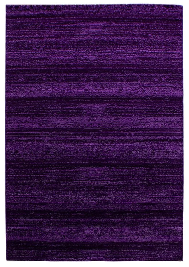 Тъмнолилав килим 160x230 cm Plus – Ayyildiz Carpets