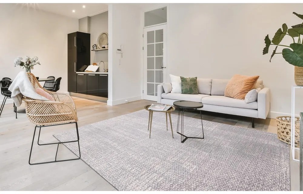 Светлосив вълнен килим 200x300 cm Eden - Agnella