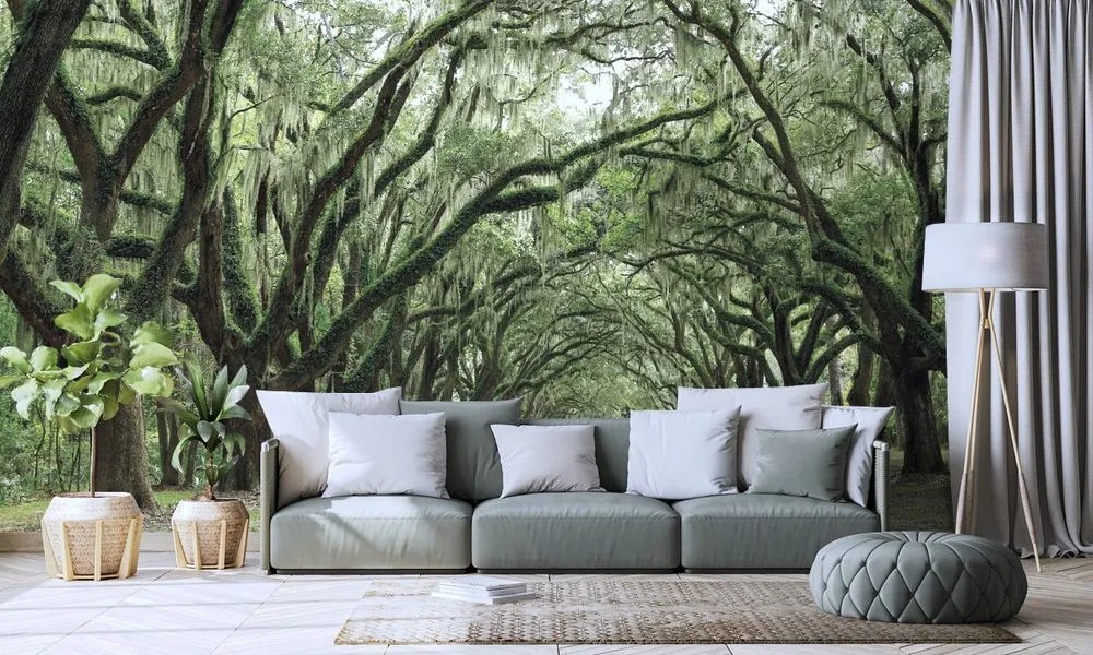 Самозалепващ фототапет – В прегръдка на дървета