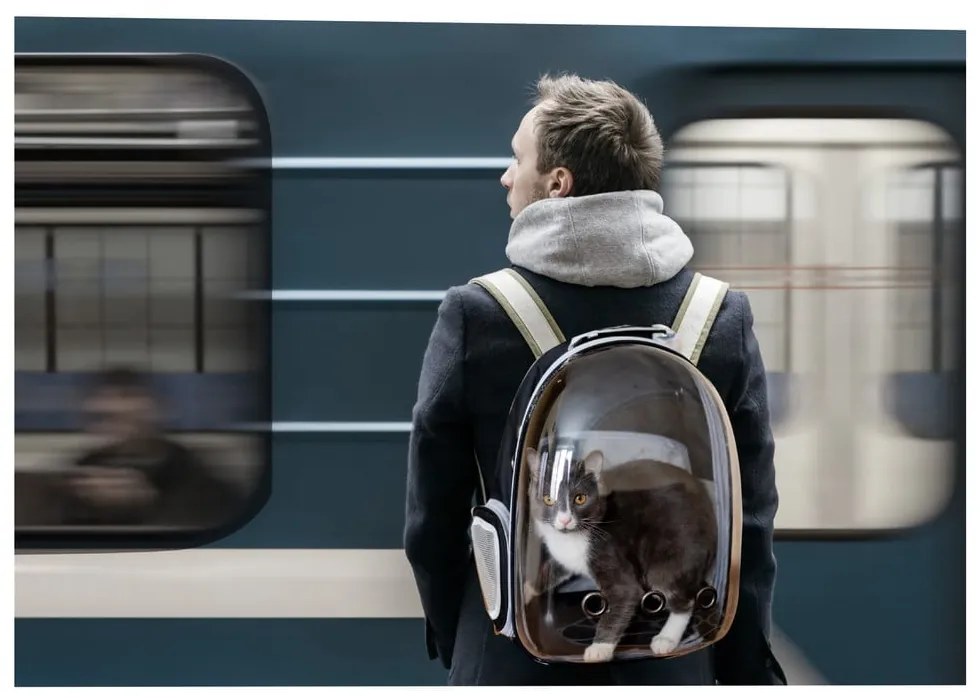 Чанта за транспортиране на домашни любимци 28x33 cm – Love Story