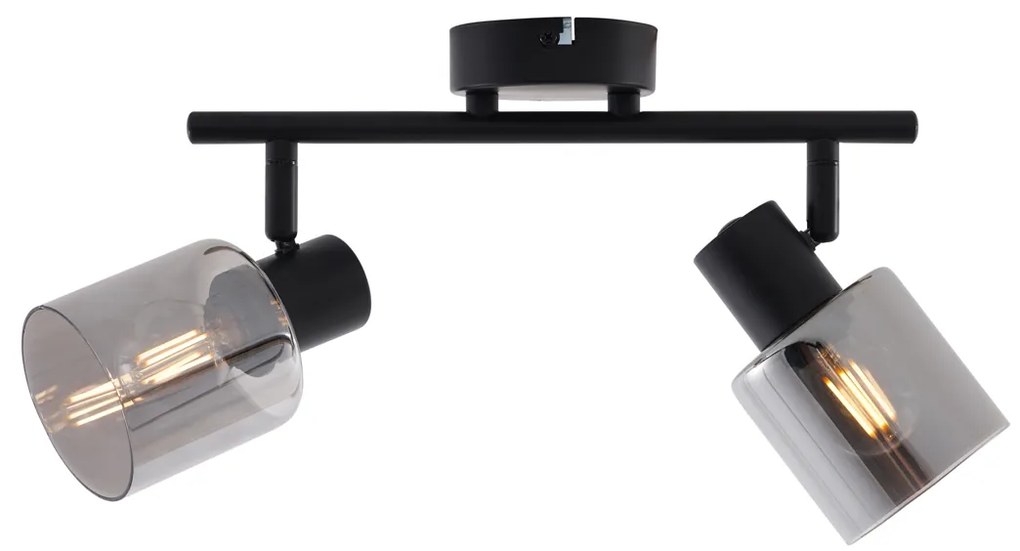 Модерен таванен полилей черен с кръгло димно стъкло 2-светлинен - Cilin