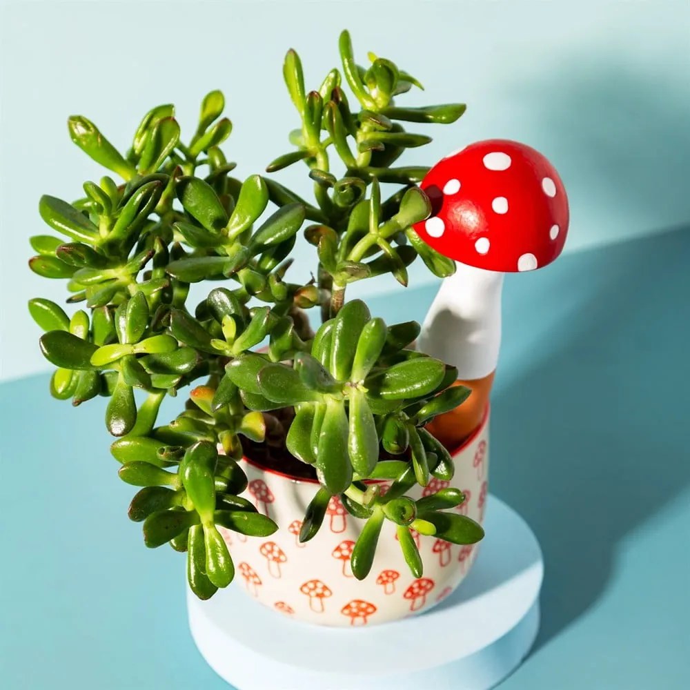 Теракотен разпръсквач Mushroom – Sass & Belle