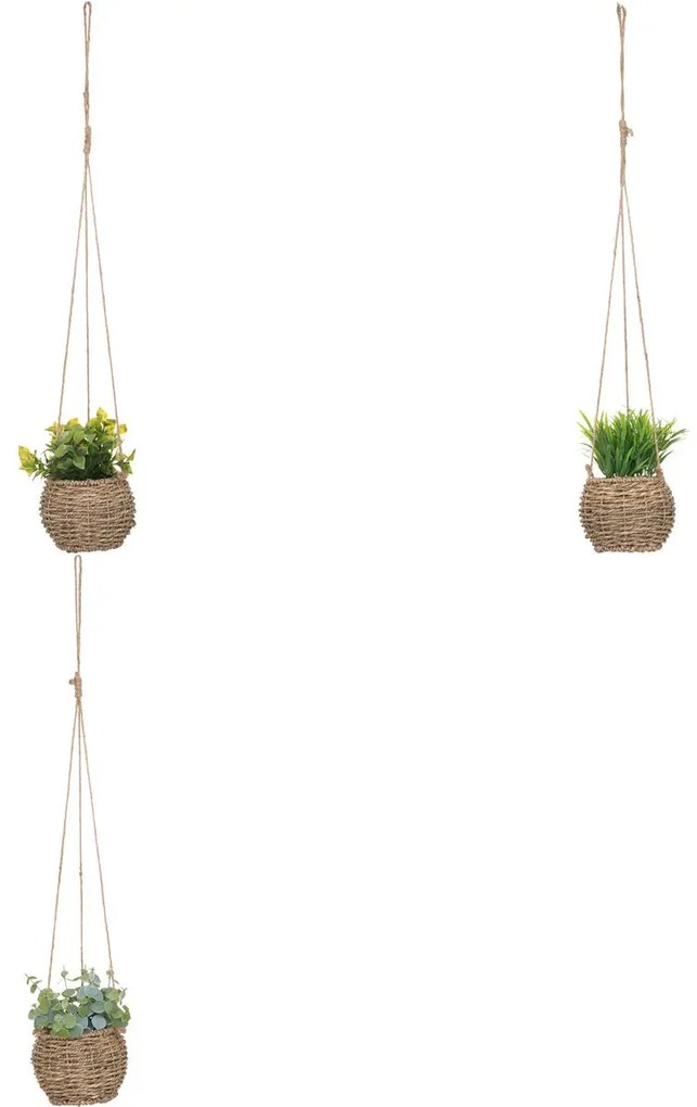 Изкуствено растение atmosphera Zoе, 17 cm, Различни видове