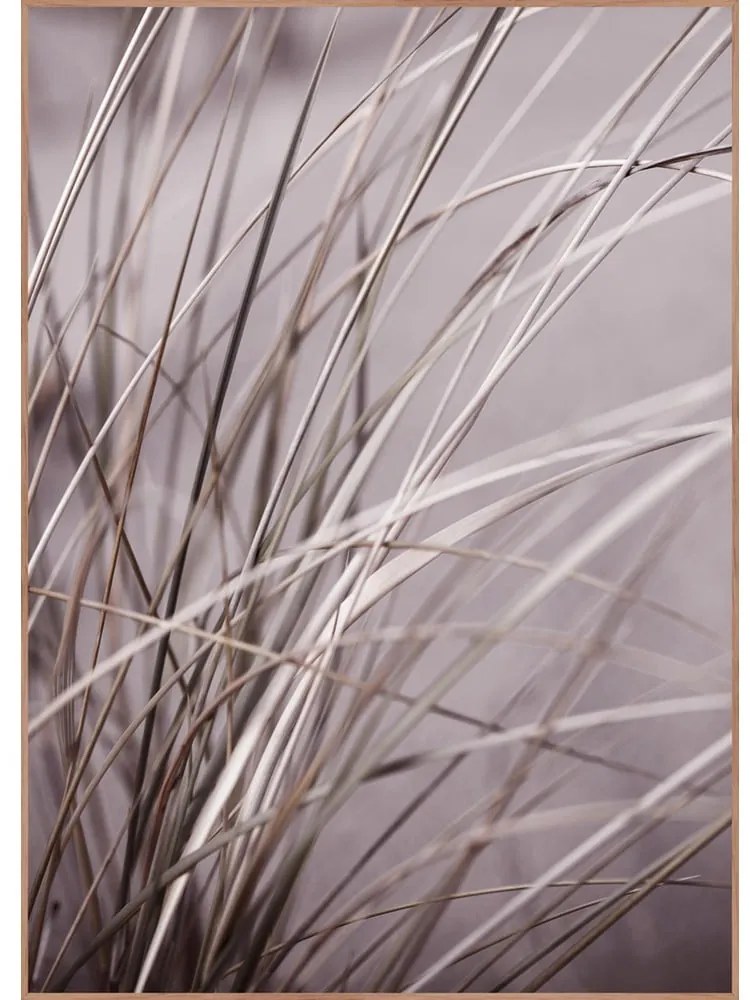 Картина 50x70 cm Mellow Grasses 1 – Malerifabrikken