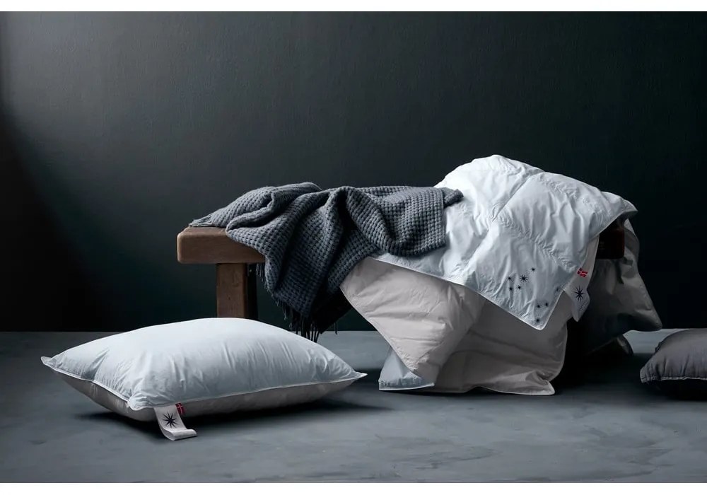 Пълнеж за възглавница с пълнеж от пера 40x80 cm Neptune High – Universe of Sleeping