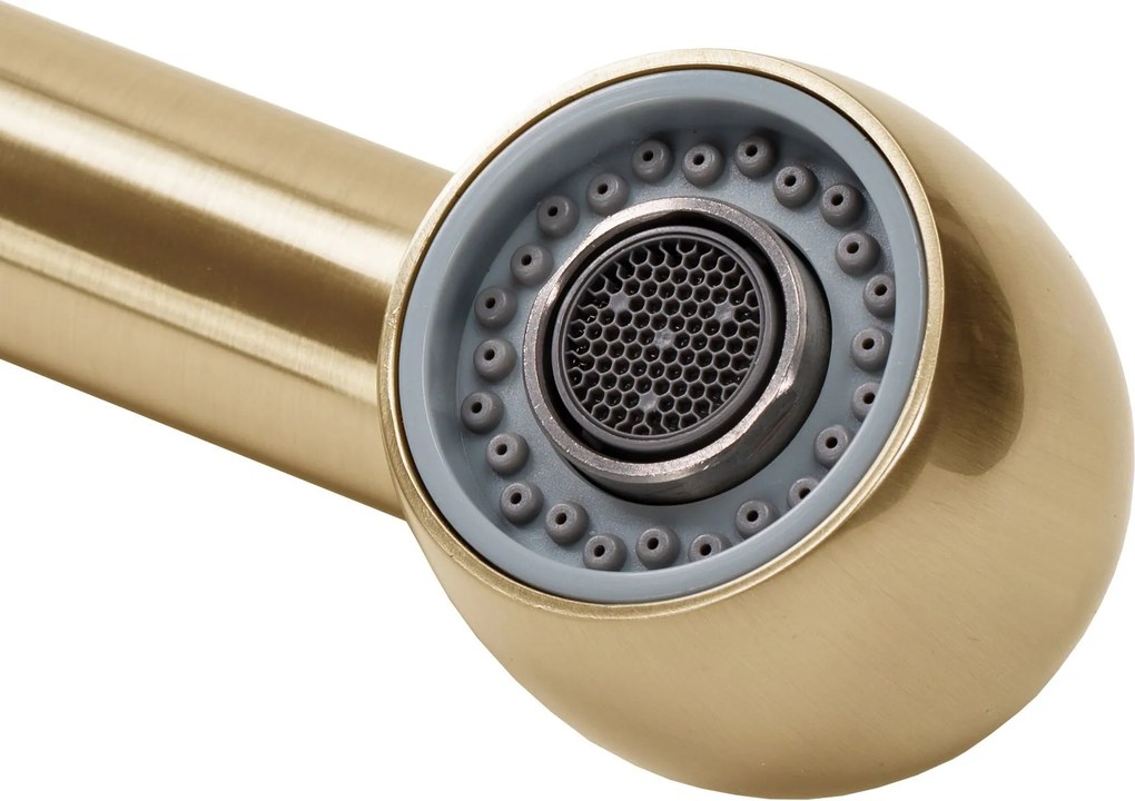 Смесител за кухня REA Troy Brush Gold