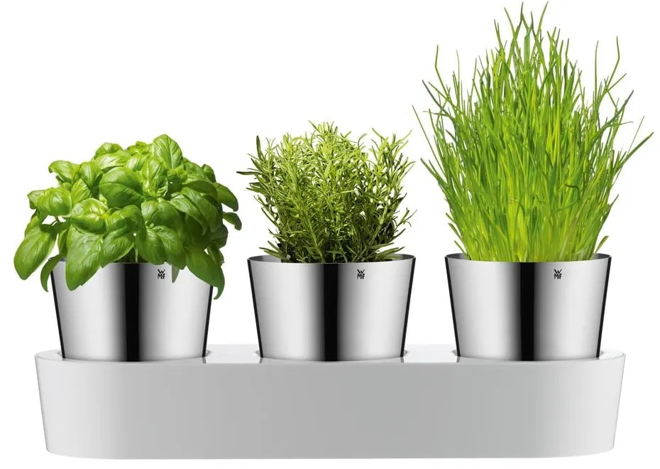 Комплект от 3 саксии за билки от неръждаема стомана Gourmet - WMF