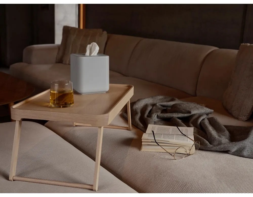 Пластмасова кутия за носни кърпички Ume – Zone