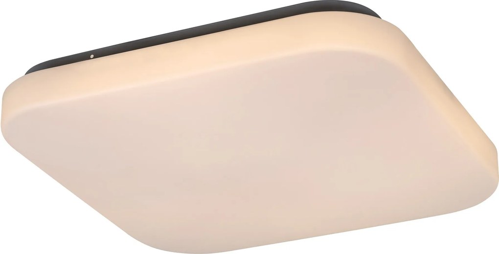 Rabalux Rob Таванно осветление (плафони) IP20 LED 20W 3340
