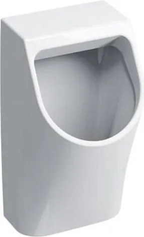 Geberit 500.254.01.1 - Писоар Smyle със задно присъединяване за вода и заден отвод, керамика/бяла