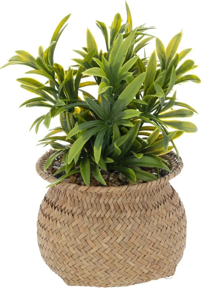Изкуствено растение atmosphera Jiling, 20 cm