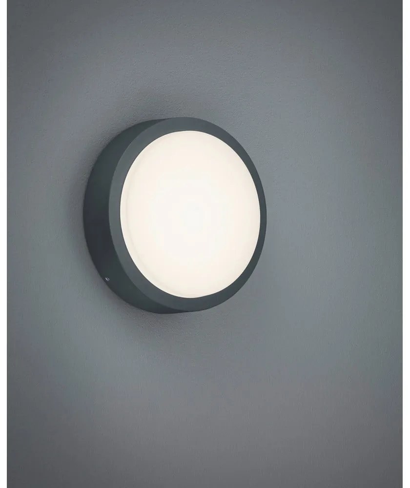 LED външно стенно осветление ø 20 cm Berg - Trio