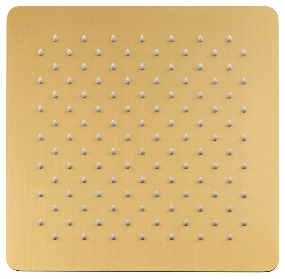 Душ глава от неръждаема стомана в златист цвят Slim – Sapho