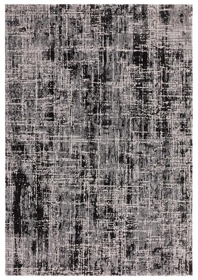 Сив килим 120x170 cm Kuza – Asiatic Carpets