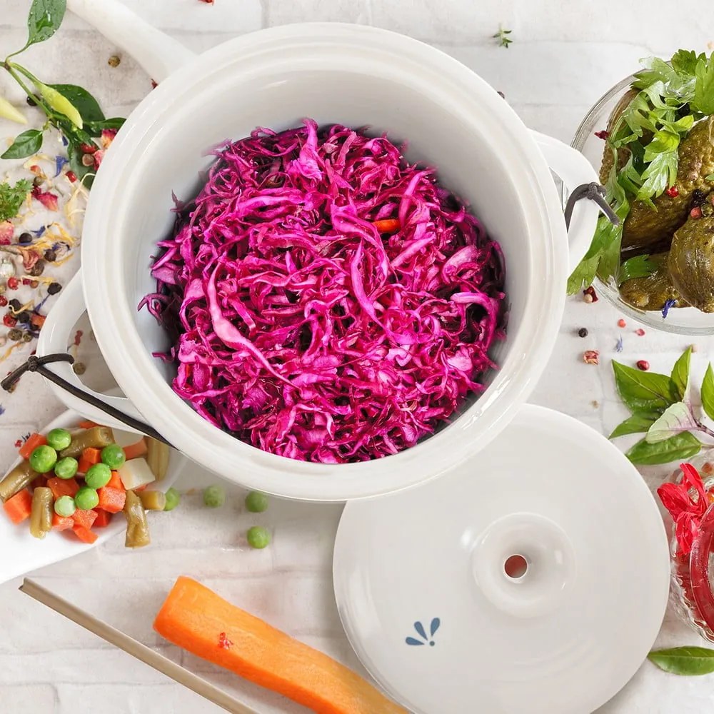 Съд за ферментация 12 l – Orion