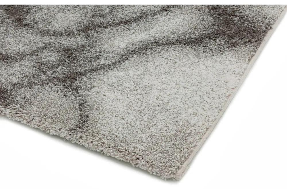 Сив килим 200x290 cm Dream – Asiatic Carpets