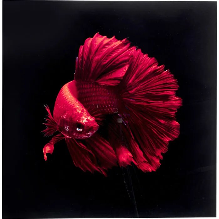 Арт.53085 Картина Glass Fire Fish 100x100cm