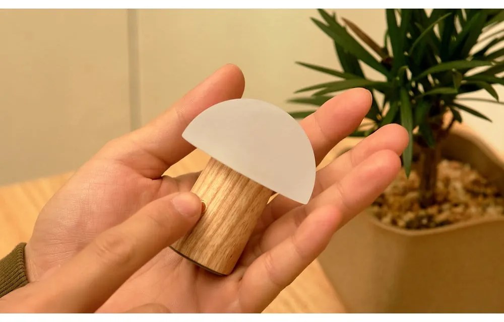 LED затъмняваща се настолна лампа от масивен ясен в естествен цвят (височина 7 cm) Alice – Gingko