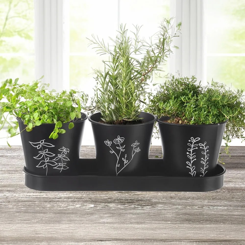 Метални саксии за билки в комплект от 3 бр. ø 11 cm Black – Orion