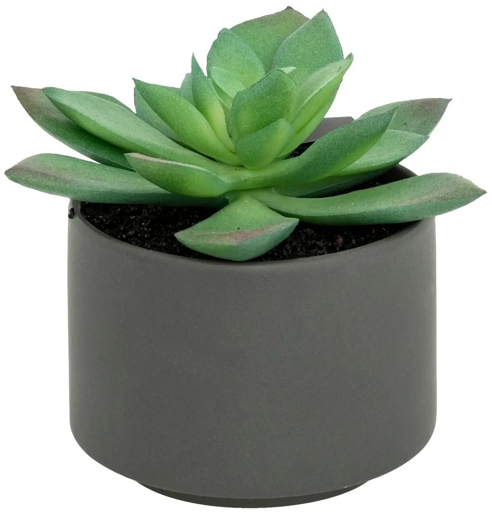 Изкуствено растение atmosphera Succulent, 13 cm, Различни видове