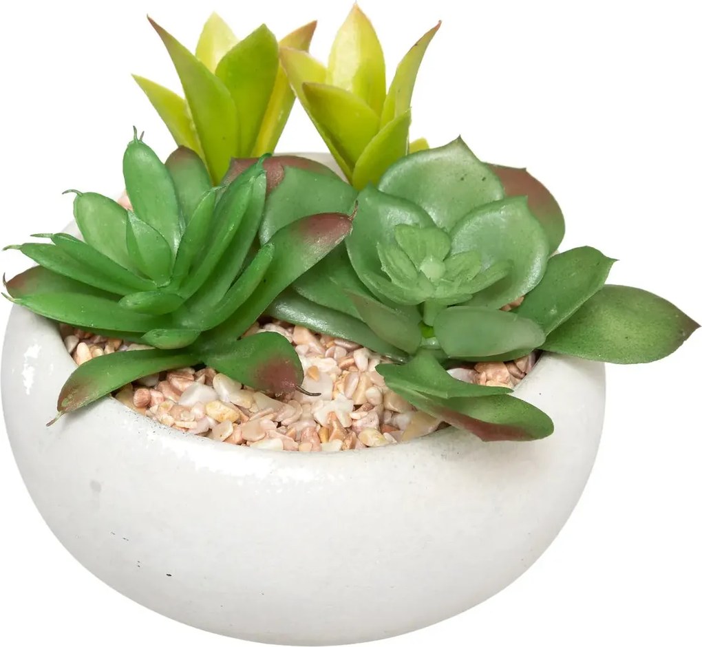 Изкуствено растение atmosphera Succulent, 10 cm, Различни видове