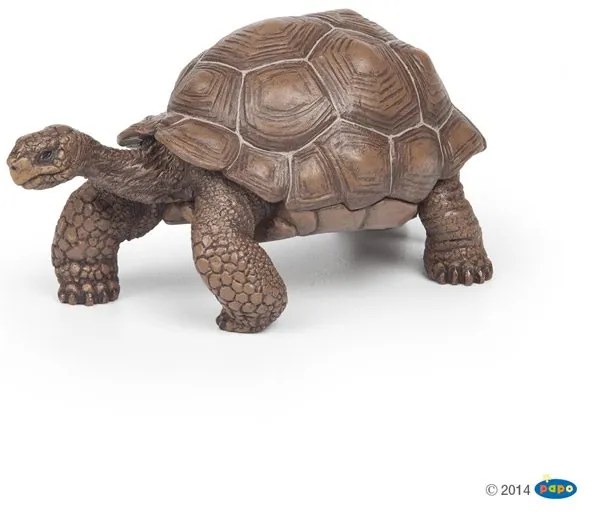 Papo - Фигурка Galapagos Tortoise