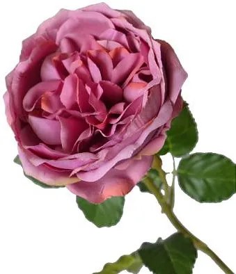 English rose-Foux  (6 τεμάχια)