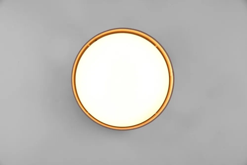 Светлокафяво LED осветление за таван ø 30 cm Locarno - Reality