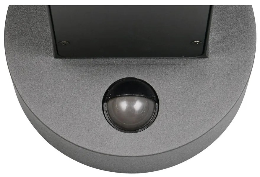 Стенно външно осветително тяло (височина 24,5 cm) Fraser – Trio