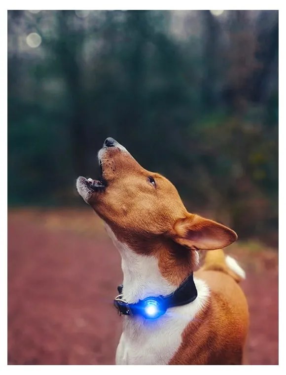 LED светлина за яка Blue - Orbiloc