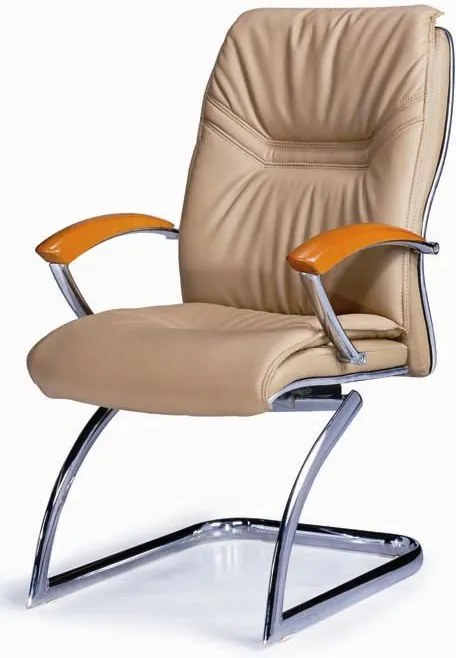 Посетителски стол D 72