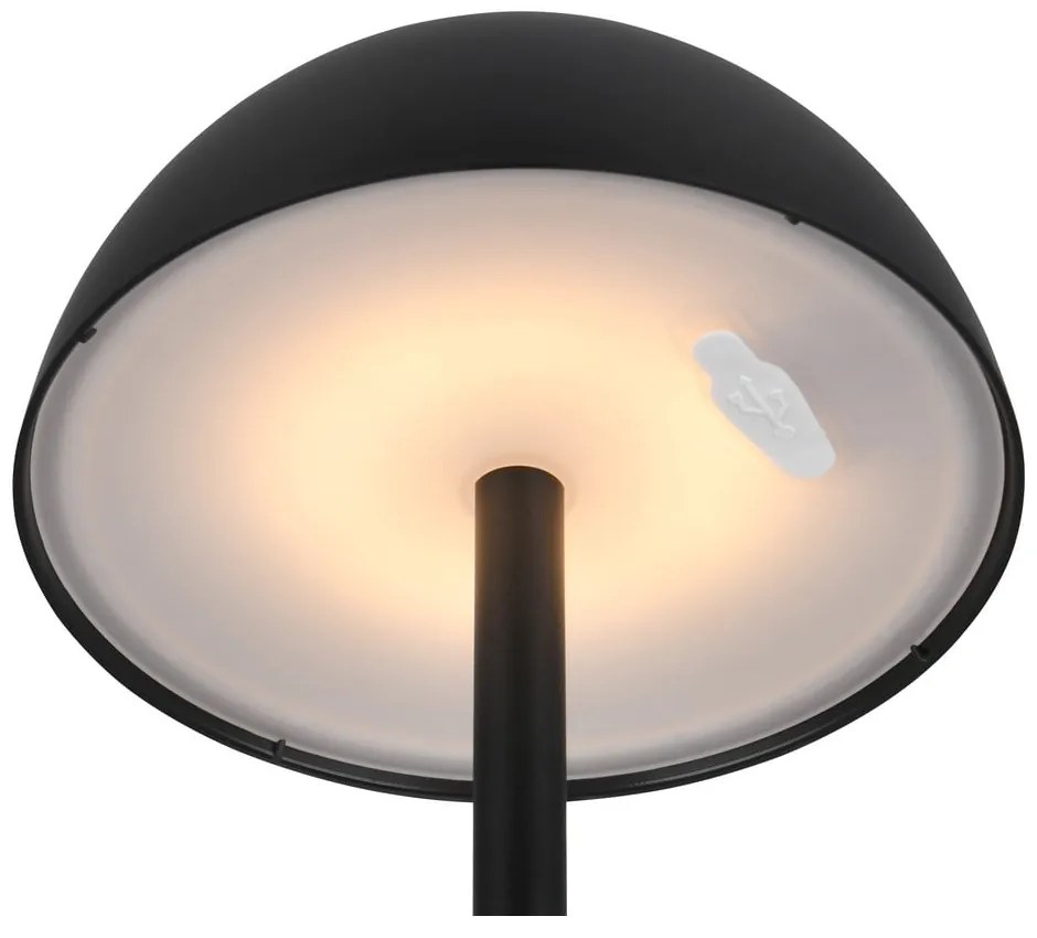 Затъмняващо се външно осветително тяло ø 13,5 cm Ricardo – Trio