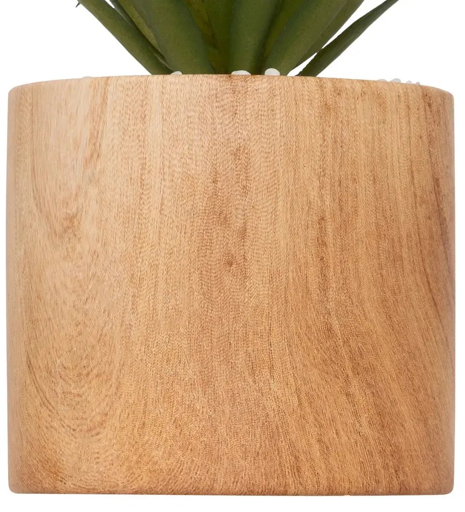 Изкуствено растение atmosphera Sao, 17.5 cm