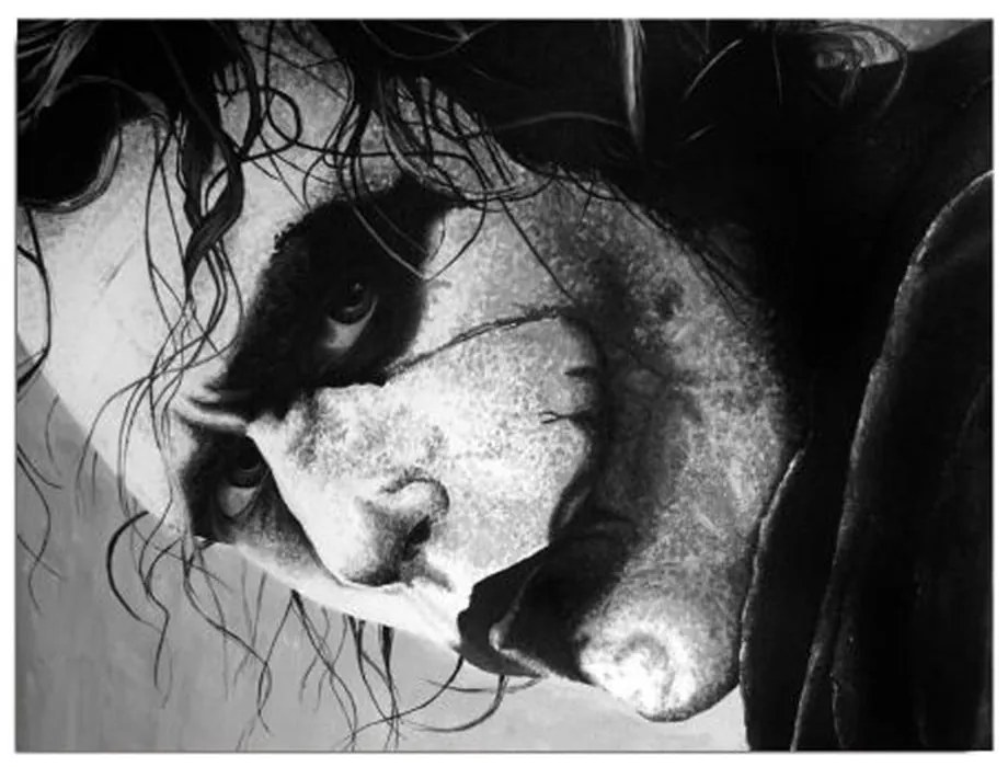 Картина за стена върху платно Жокер, 40 x 30 cm - Wallity