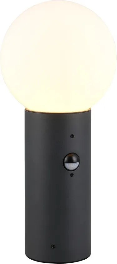 Колонно външно осветително тяло със сензор за движение ø 18 cm Mures – Trio