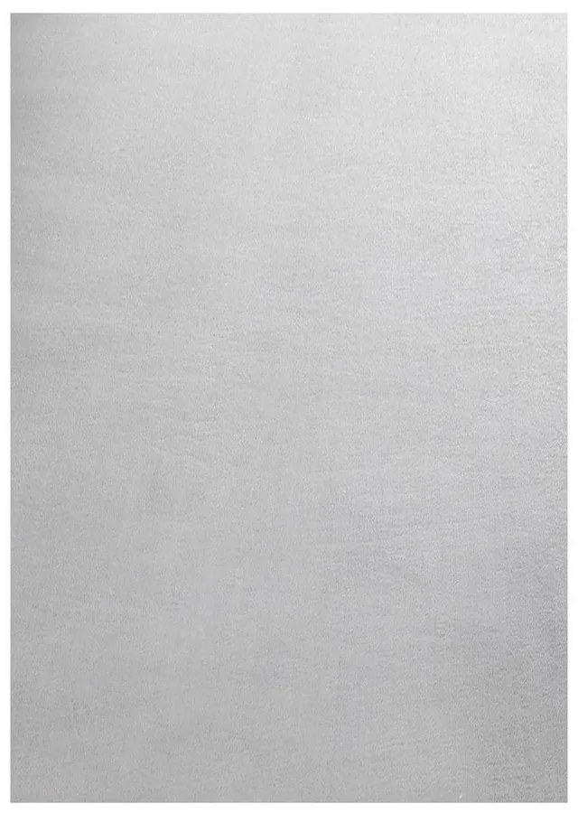 Светлосив килим подходящ за пране 60x110 cm Sky – Ayyildiz Carpets