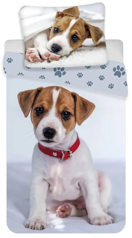 Сиво единично памучно детско спално бельо 140x200 cm Dog – Jerry Fabrics