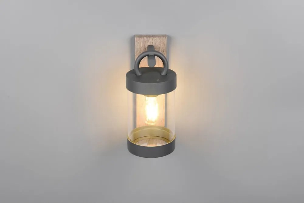 Стенно външно осветително тяло (височина 33 cm) Sambesi – Trio