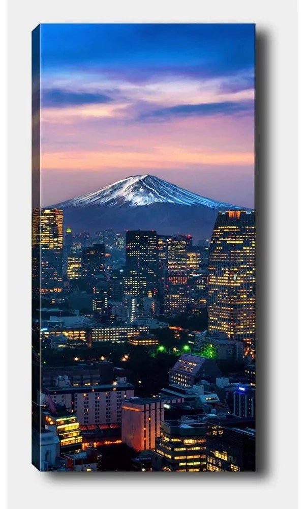 Живопис 50x120 cm - Wallity