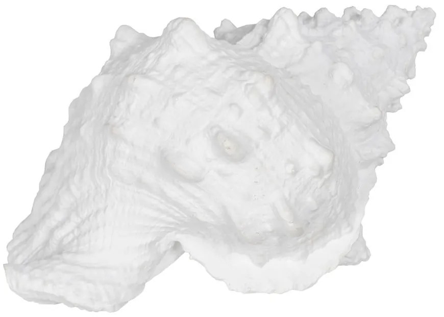 Статуя от полиресин (височина 12 cm) Seashell – Ixia